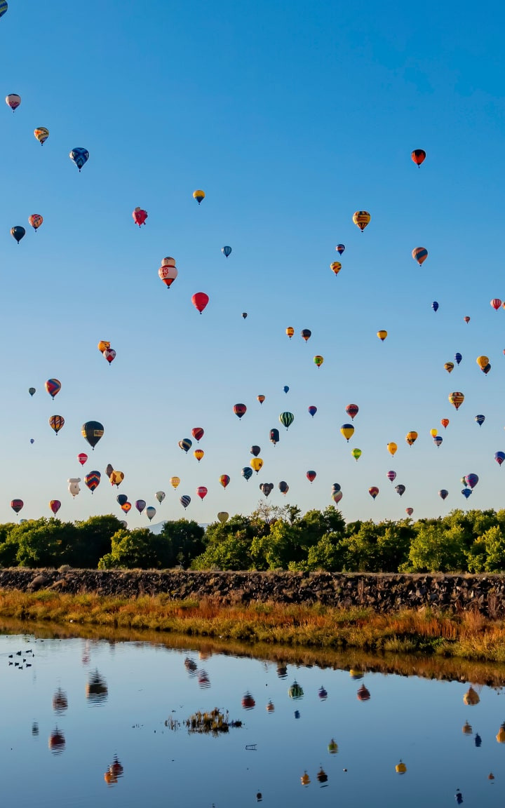 Top Kid-Friendly Activities In Albuquerque